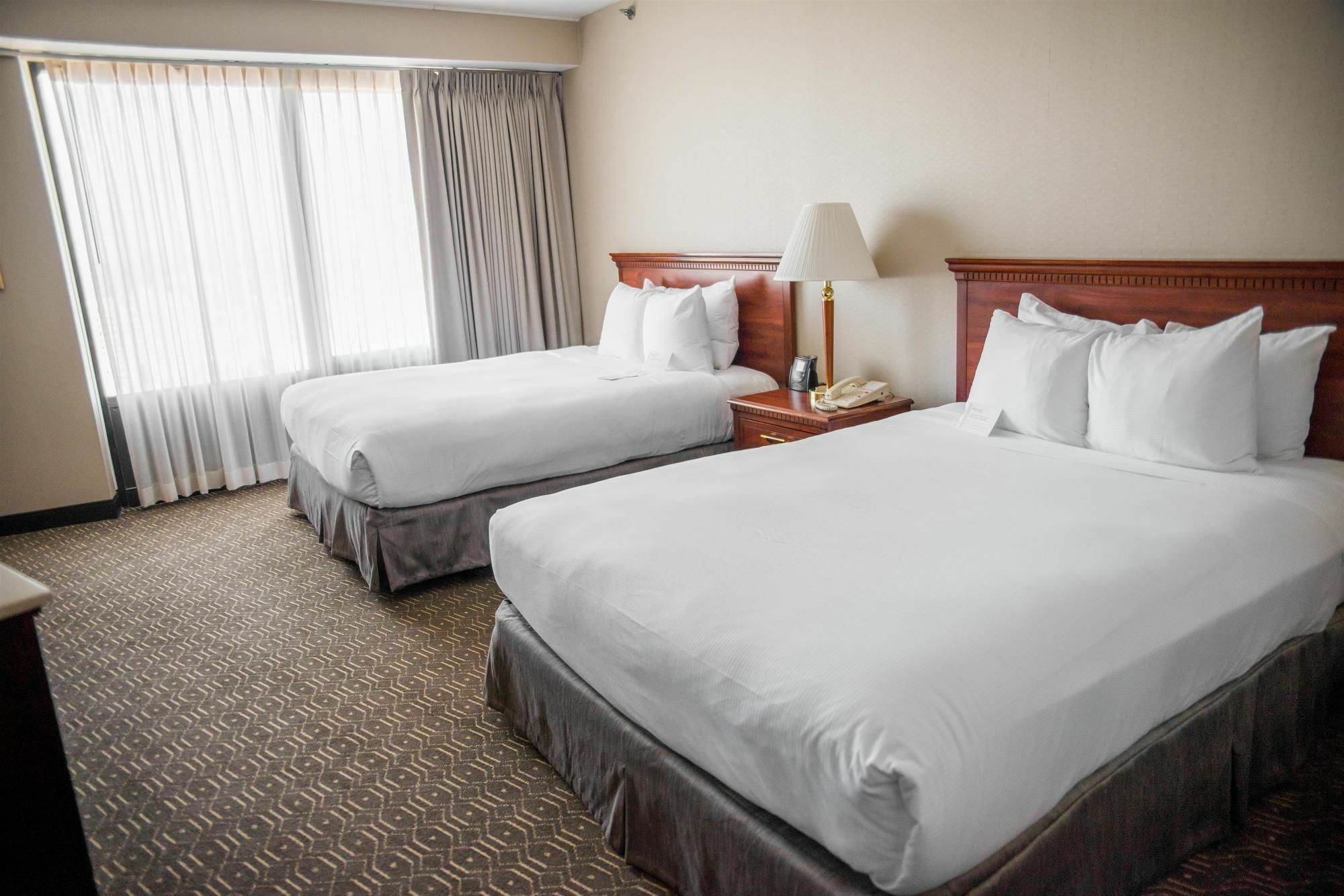 Wyndham Springfield City Centre Extérieur photo